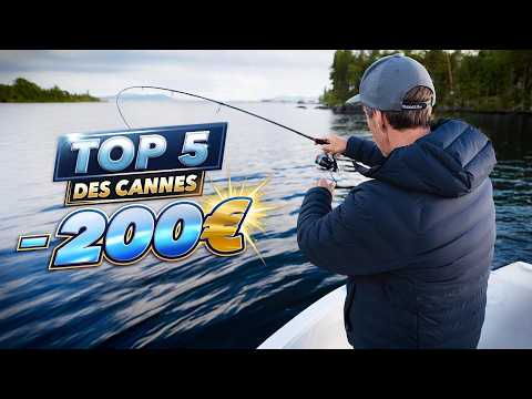 5 fishing rods for UNDER 200 euros!!!