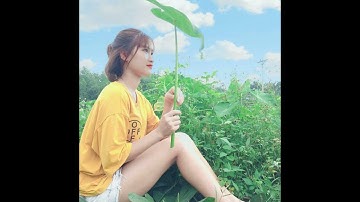 Message Line   laitronganh 6z2un