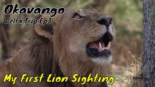 Third Bridge Lions. Okavango Trip 2022. Ep 3