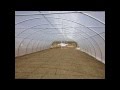 Commercial Hydroponics on Bonaire - part 1