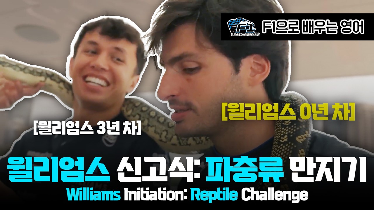 [F1 번역 한글/영어] 호주 GP 그랑프리 윌리엄스 신고식 : 파충류 만지기 | Williams Intiation : Reptile challenge
