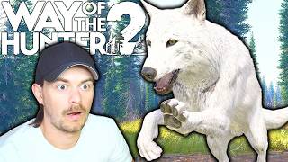 I Didn't Know They Had These Rare Fur Wolves! | Way of the Hunter 2