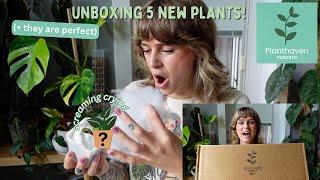 another immaculate unboxing from Planthaven Toronto