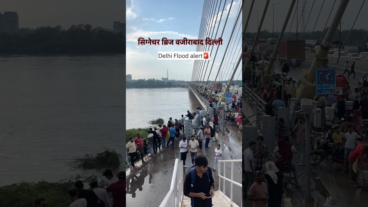 Signature  Bridge 🌉 Wazirabad Delhi 