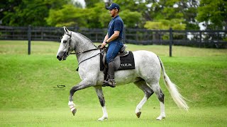 14 - Gelo da Tarlim