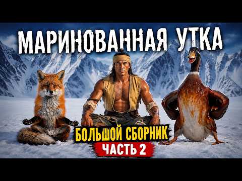 Маринованная утка. Большой выпуск. Часть 2