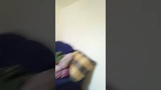 Also Wir Haben Neue Staffel Von Beweise Euch Vortiesert