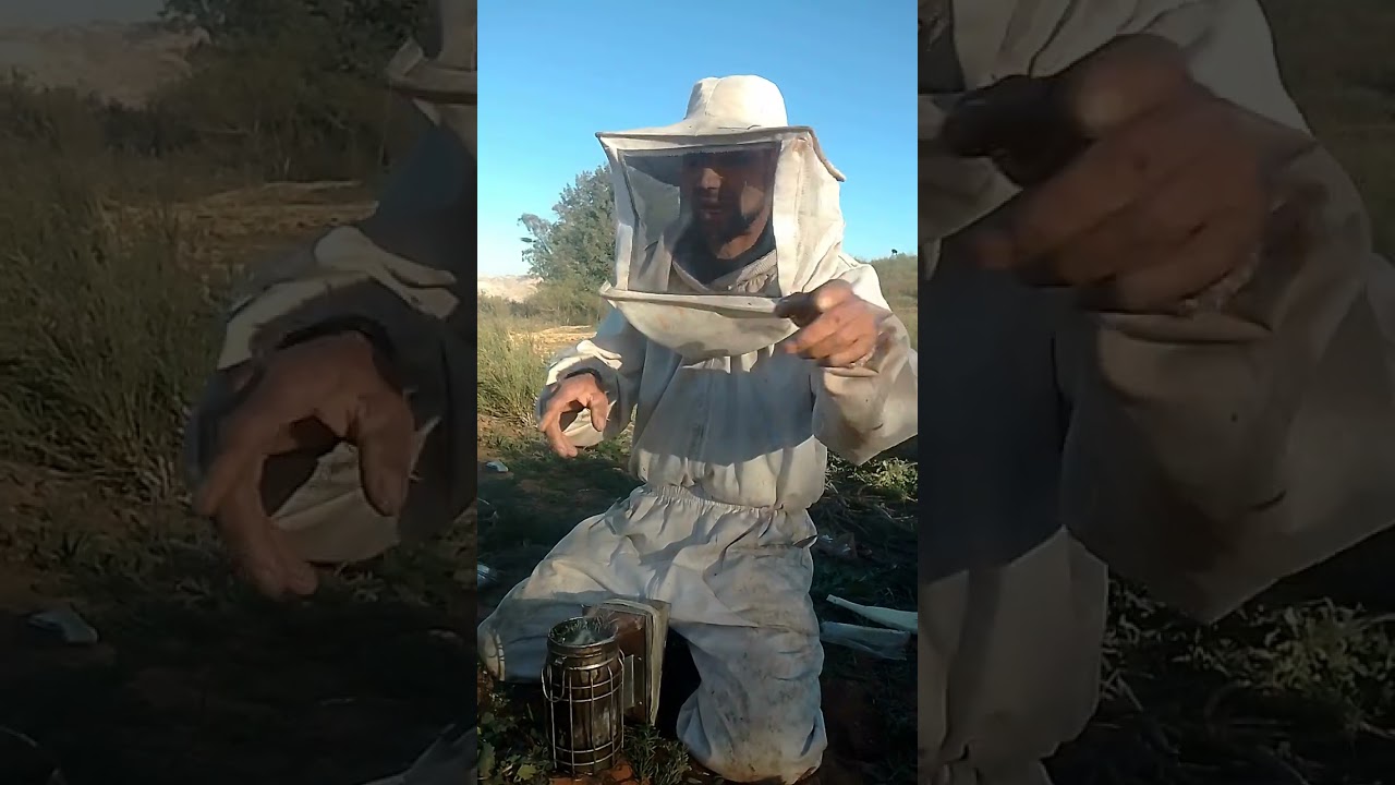 الحصة الثانية  كيفية نزع طرد من الأم