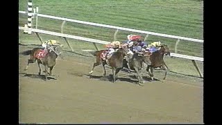 Famous ESPN Race Horse Digest - August 12th 1998 Wealth