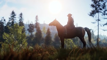 HORSE | Rust Background Video