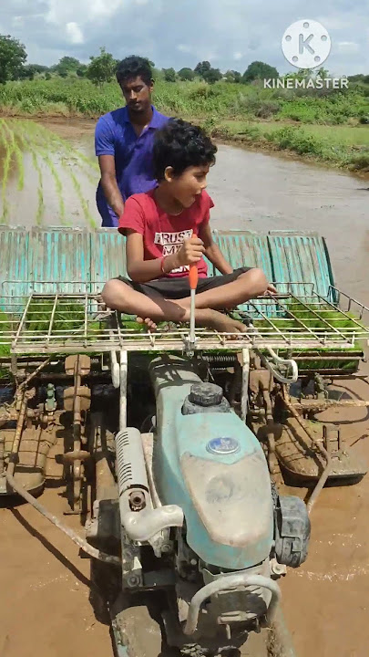 Best paddy transplanter#latest agriculture equipment#shorts video#paddy#agriculture#farming