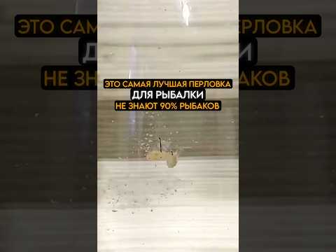 90% рыбаков не