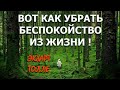 ВОТ КАК УБРАТЬ БЕСПОКОЙСТВО! [Э. ТОЛЛЕ(ЛЕКЦИИ), озв. НикОшо]