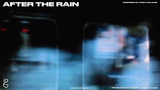 [FREE] Post Malone Type Beat - "After The Rain"