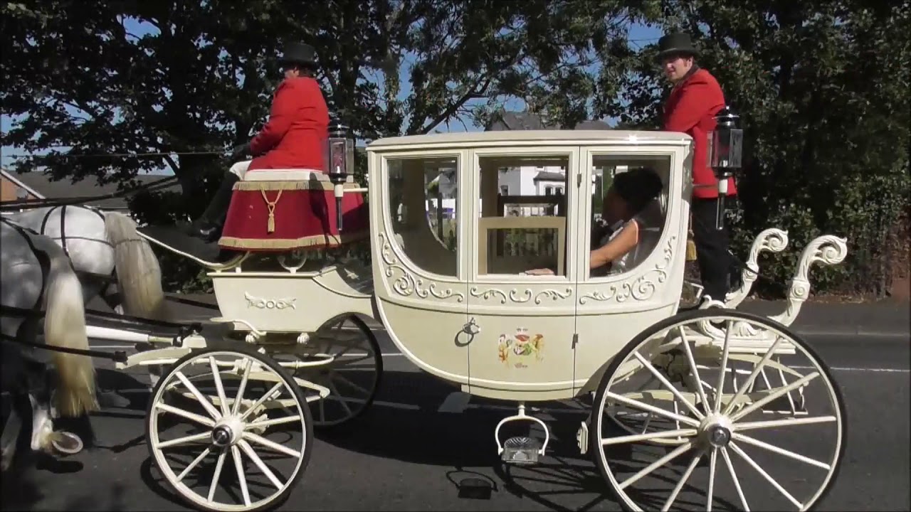 White Horse Drawn Wedding Carriage King ...