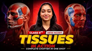 Class 9 Science Chapter 3 | Tissues in Action | Full Chapter Explanation | New NCERT 2026