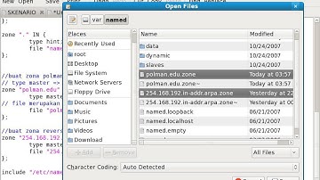Configuring DNS with BIND - Linux Fedora