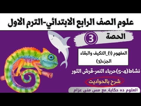 الحصة التالته علوم رابعة المفهوم الاول التكيف حرباء النمر وقرش الثور العلوم ده حكاية مع مس منى عزام