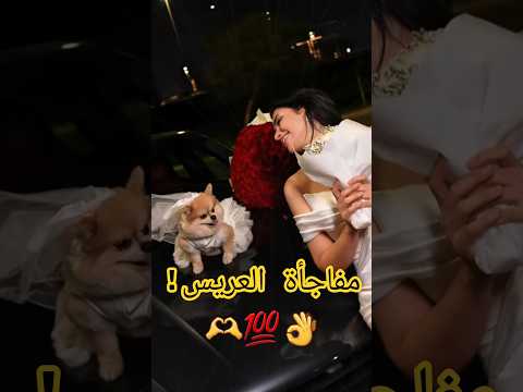 مفاجأة ميس دعاء العريس اللي الكل انتظره طلع سيارة بورش 