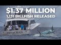 Costa ricas largest  richest fishing tournament  pelagic rockstar offshore tournament