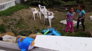 Dollar Store Whale Bubble Blower 2 - Outside