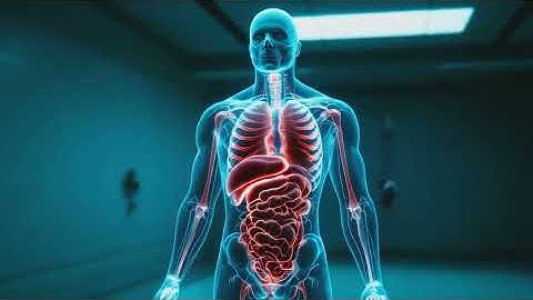 Male Erection Explained – The Science of Arousal and Erectile Dysfunction