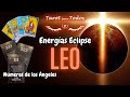 Leo ♌️ Energías Eclipse y Números de los Ángeles #tarotevolutivo #leo