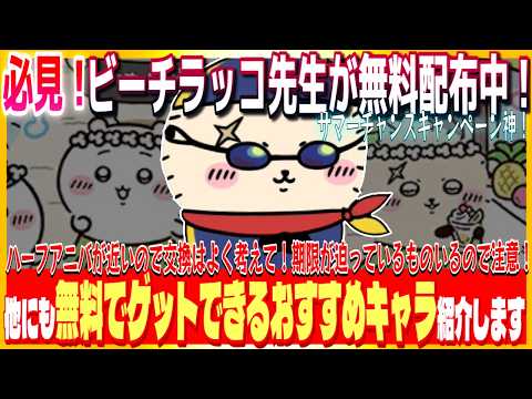 【ちいかわぽけっと】無課金でも戦える！おすすめ過去衣装キャラとハーフアニバ直前準備ガイド