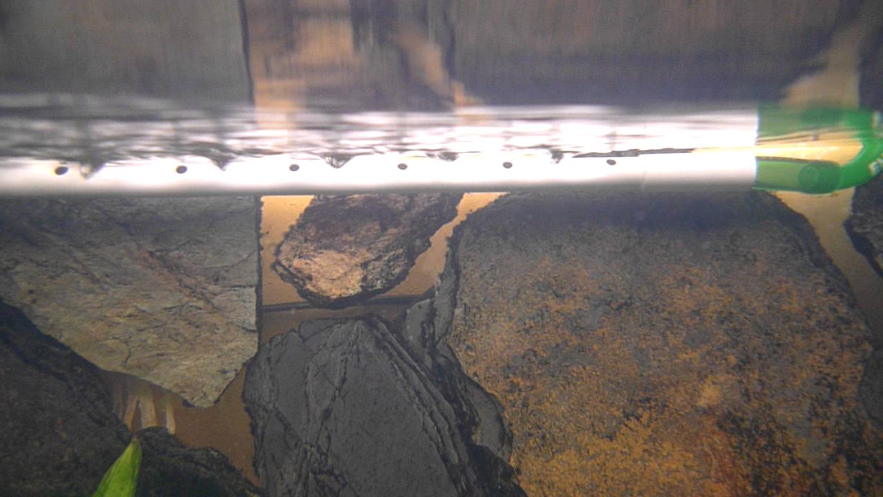 DIY Spray Bar For EHEIM 2036 YouTube