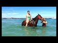 Gansbaai & Pearly Beach Horse Trails (Western Cape) - Another Day, Another Trail - 09 April 21