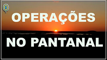Quais as principais vegetação do Pantanal?