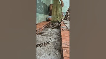 Đầu Ra Rắn Mối Là Đây. #bayranmoi #suhuong #thumuaranmoi