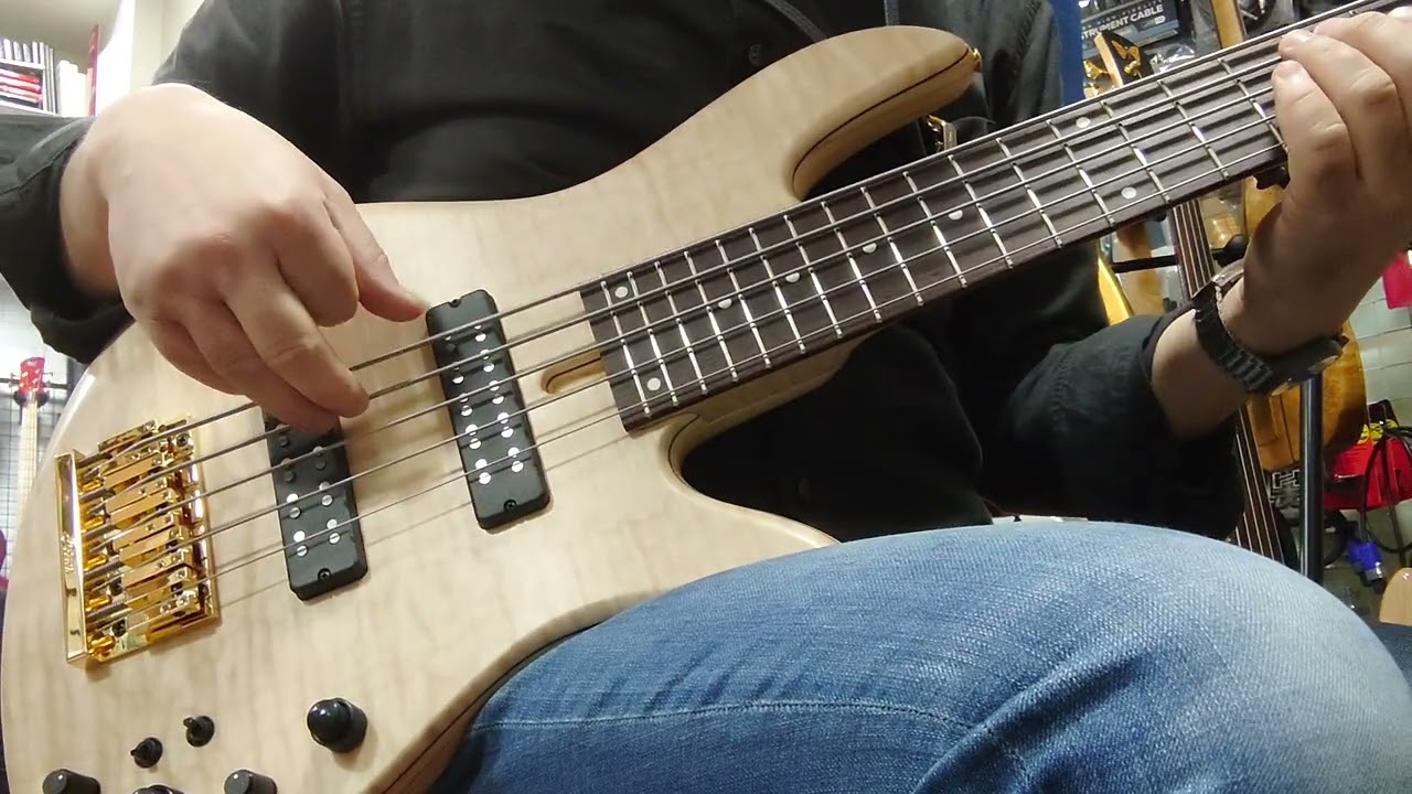 Fodera Emperor 5 Standard Special Flame Maple / ベース専門店