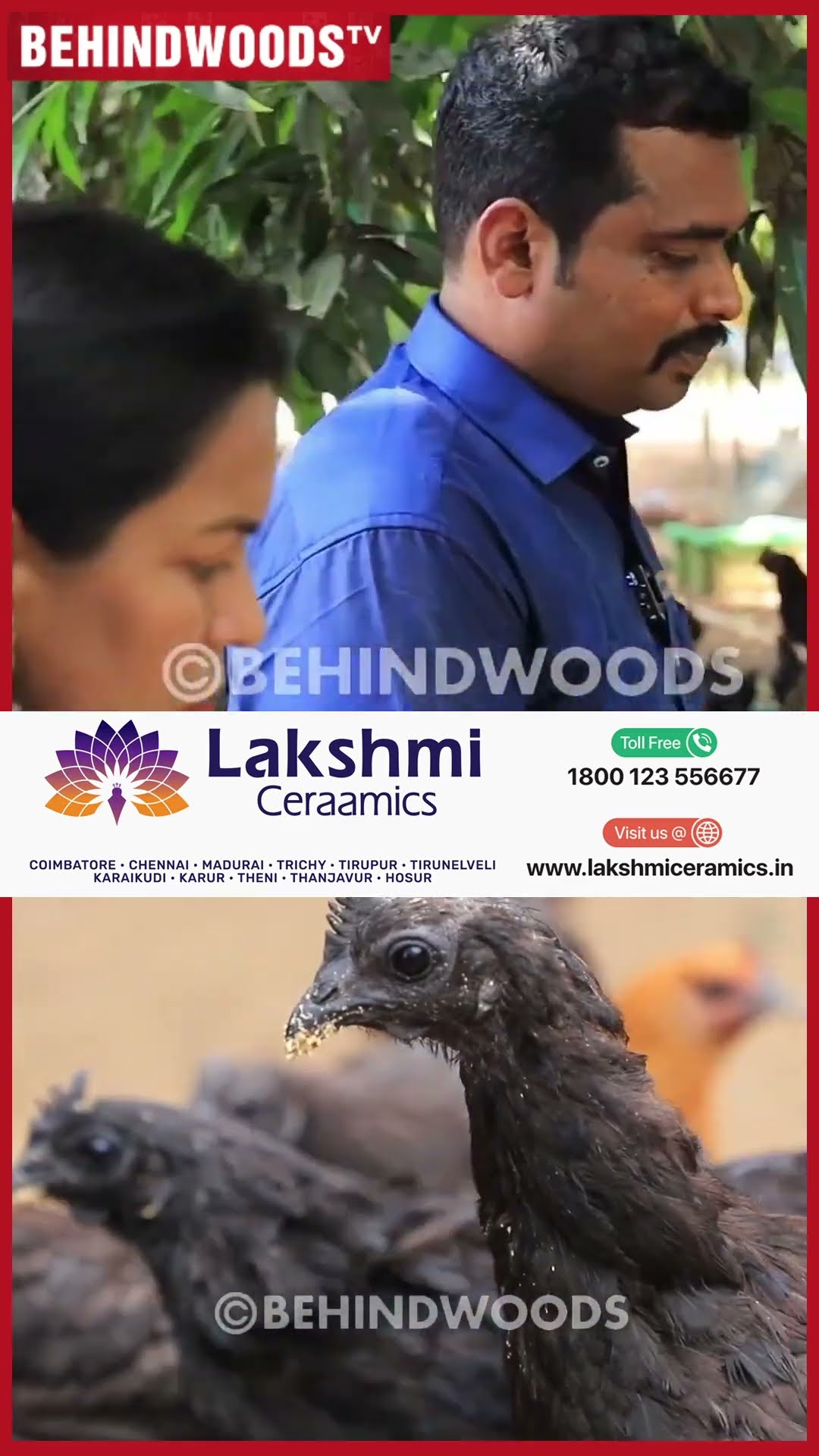'120 கருங்கோழி, சேவல் எல்லாம் வெச்சு பிரமாண்ட பண்ணை..' ? வியக்க வைக்கும் IT ஊழியர்