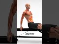 Your Abs Aren’t Growing Because You’re Doing This Wrong