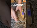 At home health checks for reptiles 🦎🐍