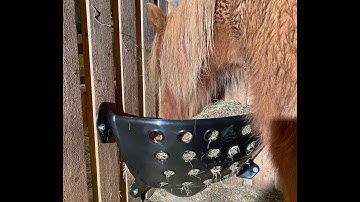 Hay Feeder With Romovable Trough