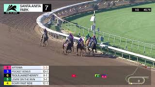 Lovin’ On the Run wins Race 7 on Friday, February 13 at Santa Anita Park