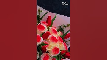 القارئ عمر البريكي... تلاوه جميله. ♥🌹 #قرآن #حالات_واتس