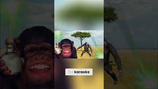 Chimpanzees are getting hammered on fruits