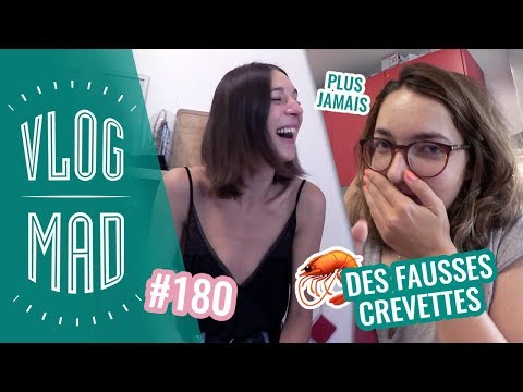 les-expériences-étranges-de-queen-camille-—-vlogmad-#180