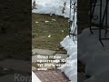 Когда птицы прилетели с Юга, а тут опять началась зима