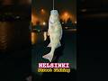 Finland Helsinki city Fishing #suomi #kalastus #streetfishing #хельсинки #рыбалкавфинляндии
