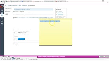Canvas 101: Checking teacher feedback / RE-submitting