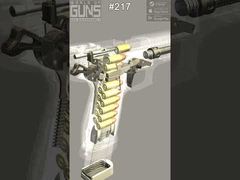 $2,500 Pistol In Action: SIG P226 X-Five SLOW MOTION #firearmeducation #gunmechanics
