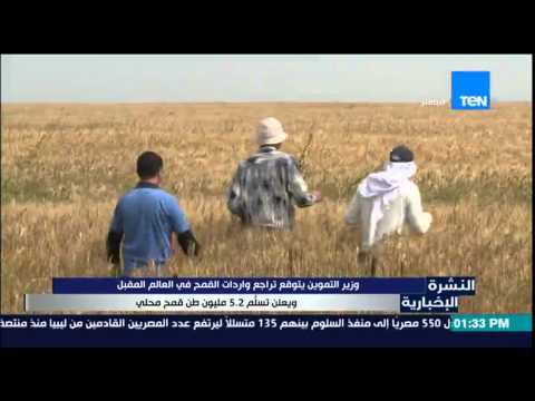 النشرة الإخبارية وزير التموين يتوقع تراجع واردات القمح فى العام المقبل وتسليم 5 2 مليون طن قمح