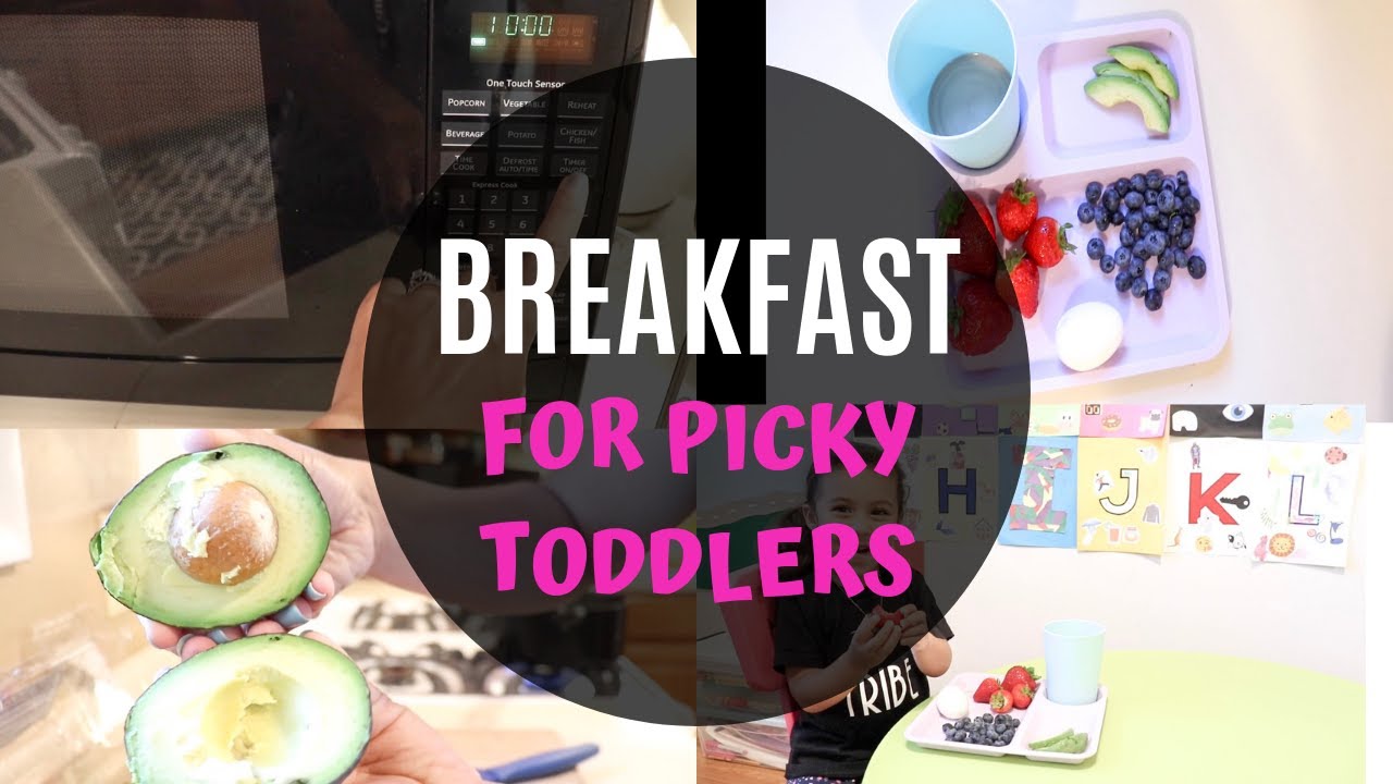 Breakfast Idea For Picky Toddler - YouTube