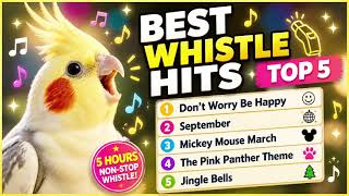 Top 5 Whistle Training Songs for Cockatiels | Don’t Worry Be Happy, September & More