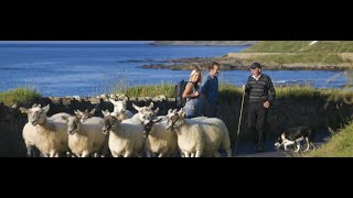 Best Travel Guide for First Time Visitors to Ireland: Discover the Emerald Isle | Travel Guide 2024