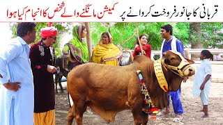 Qurbani ka janwar//Ramzi Sughri Ghafar Thakar & Mai Sabiran New Funny Video By Rachnavi Tv